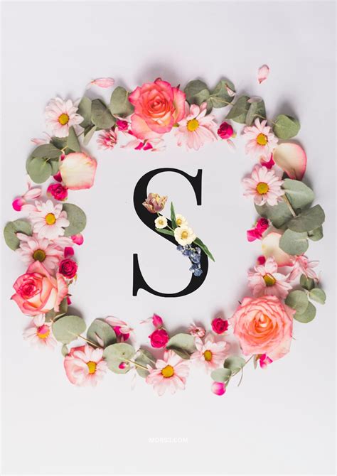 صور حرف S خلفيات حرف S خلفيات حرف S رومانسية اجمل حرف S في العالم حرف S بالورد حرف S احبك حرف S