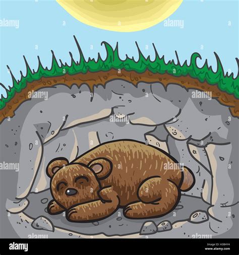 Cute Sleeping Bear In Lair Cave The Season Outside Is Spring Or