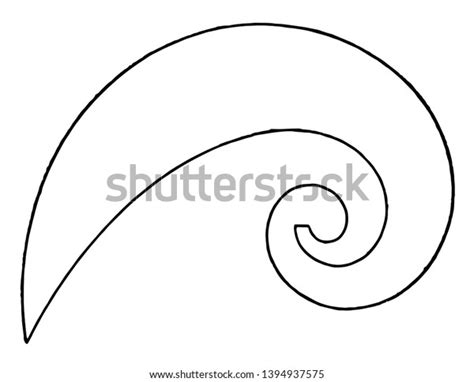 Logarithmic Spiral Curve French Curves Approximately Stock Vector