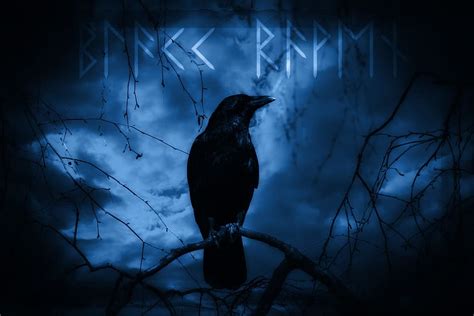 Hd Wallpaper Black Crow Illustration Raven Dark Mystical Night Moonlight Wallpaper Flare