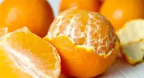 Amazing Health Benefits Of Orange Peels You Never Knew Ibi Report