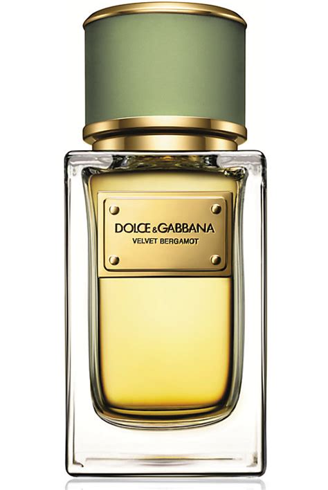Velvet Bergamot Dolceandgabbana Cologne A New Fragrance For Men 2014