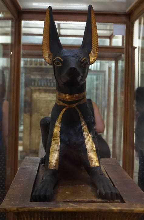 Statue Of Anubis Egyptian Museum And Royal Mummies Hall Cairo Egypt A Photo On Flickriver