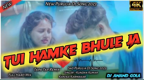 Tui Hamke Bhule Ja Re Pagla Purulia Dj New Purulia Dj Song 2023