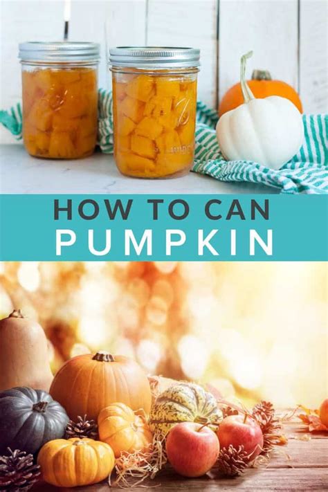 Canning Pumpkin How To Can Pumpkin Sustainable Cooks