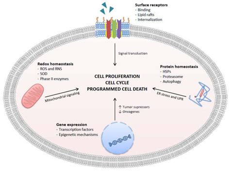 It is published by the american society of plant biologists. » Antioxidants impact factor