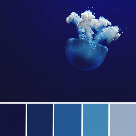 A Color Palette From The Deep Blue Sea Graphicdesign Bestofover