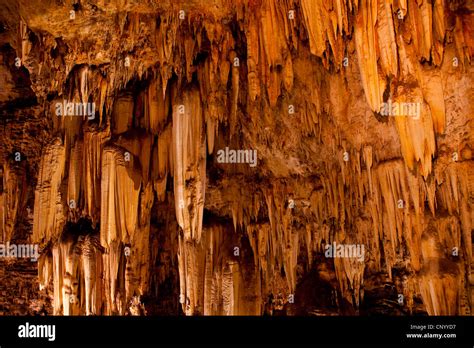 Wonder Cave Kromdraai Cradle Of Humankind Gauteng South Africa