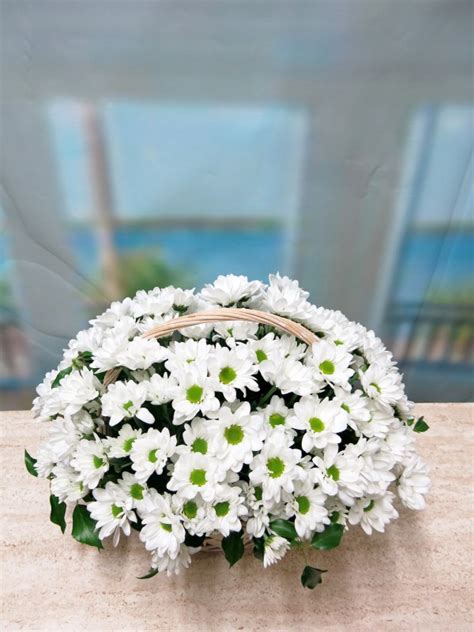 Haz que los tuyos disfruten de las flores con este tradicional ramo margaritas blancas y deshoja la margarita! Cesta de Margaritas blancas | Flores a domicilio ...