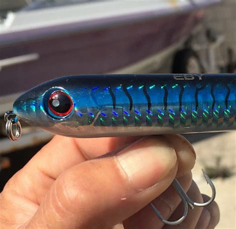 Crystal Topwater Fishing Lures Tuna Dorado Jack Striped Bass Barracuda