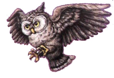 Explore the 40+ collection of harry potter characters clipart images at getdrawings. Download High Quality harry potter clipart owl Transparent ...