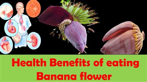 It Is Heard To Relive Banana Flower The Superfood Health Benefits Of