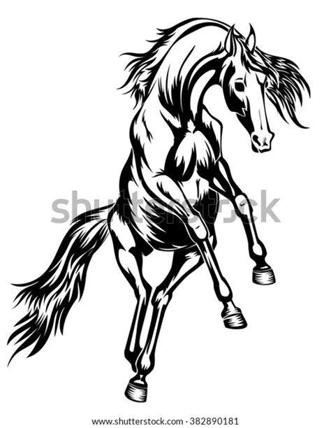 Kicking Horse Stock Vector Royalty Free 382890181 Shutterstock