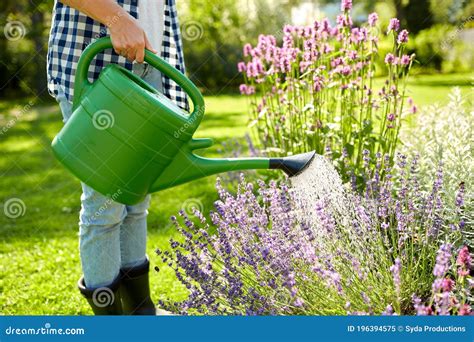 Young Woman Watering Flowers At Garden Stock Image Image Of Female