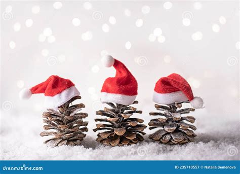 Three Pine Cones In Santa Hats Like A Christmas Tree On White