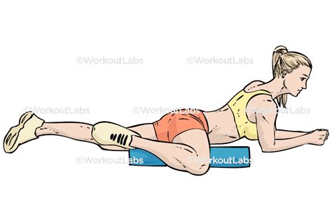 Foam Roller Inner Thigh Adductor Adduction Stretch Workoutlabs