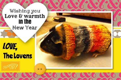 The best ipad apps doesn't include preinstalled apps or games. Warm Wishes for the New Year: Guinea Pig Sweaters ...