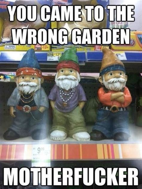somebody put tough guy garden gnomes in the meat section at walmart funny pictures at walmart