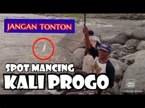 SPOT MANCING KALI PROGO HASILNYA OK JANGAN TONTON BISA BISA IKUT