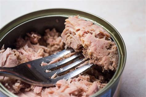 Can Dogs Eat Canned Tuna In Sunflower Oil