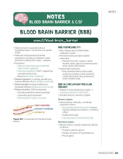 Blood Brain Barrier And Csf Notes Diagrams And Illustrations Osmosis