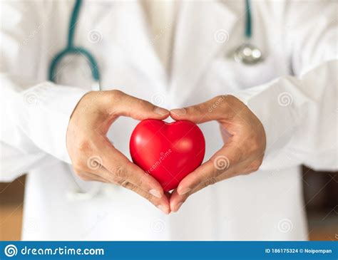 Cardiovascular Disease Doctor Or Cardiologist Holding Red Heart In