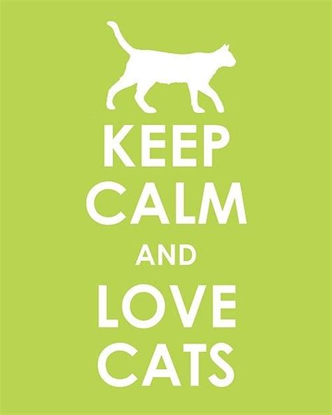 Keep Calm And Love Cats Words To Live By Pinterest