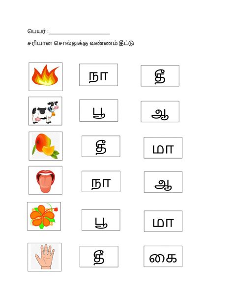 तामिल और इंग्लिश में शरीर के अंगों का नाम, name of body parts in tamil to english & hindi language with images / pictures. Body Parts In Tamil For Kids / Fruit Human Body Parts And Their Functions In Tamil : Tamil ...