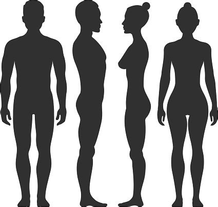 Download the perfect silhouette woman pictures. Man And Woman Vector Silhouettes In Front Side View Stock ...