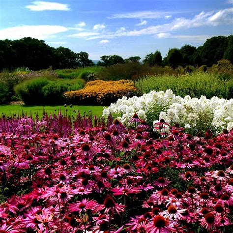 Sussex Prairies Garden Henfield All You Need To Know Before You Go