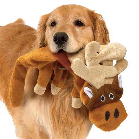 Stuffing Free Squeaky Dog Toys Set Of 4 Collections Etc