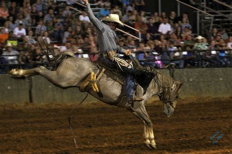 Lone Star Rodeo Brings Bulls Broncs And Barrel Racers To Murfreesboro On March The