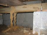Photos of House Has Termites