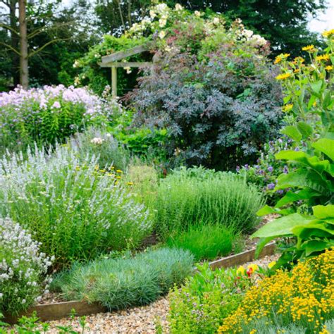 7 Ways To Make Your Garden Wildlife Friendly Ideal Home