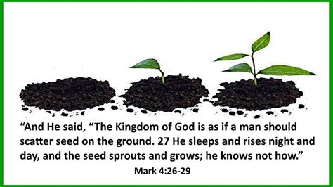 The Living Power Of The Bible Mark 426 29 Youtube