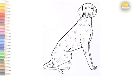 Dog Outline Outline Drawings Animal Drawings Dog Steps Dalmatian