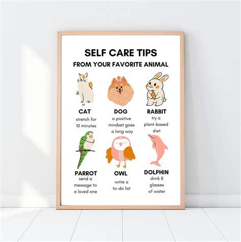 Caring For Animals Poster