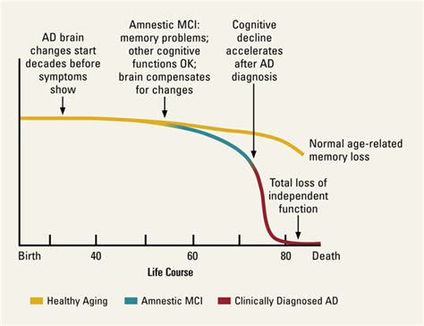 Cognitive Decline By Age Chart