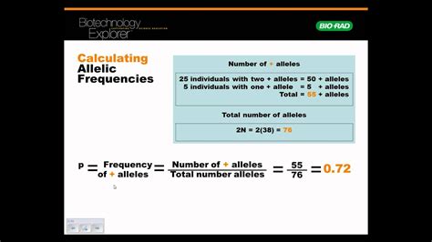F is the frequency of the wave in hertz t is the period of the wave in seconds 2.f=v/lambda where. PV92 calculating out allele frequencies.wmv - YouTube