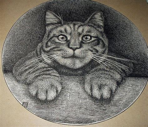 1800s Antique Etching Illustration Sweet Tabby Cat In Portrait