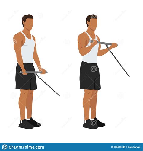 Man Doing Standing Bicep Cable Curls Exercise Stock Vector