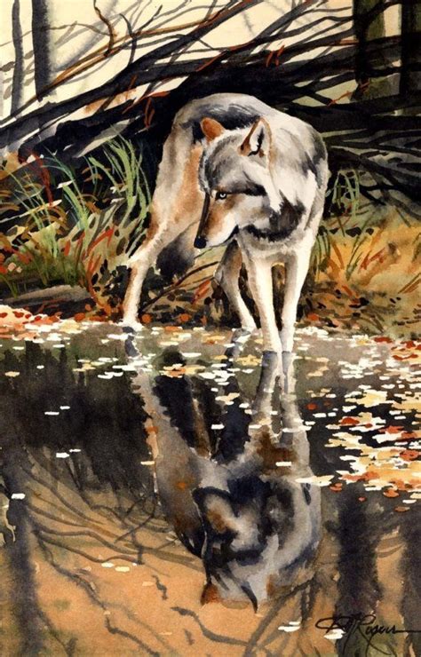 Wolf Reflection Watercolor Painting Art Print By K9artgallery 1250