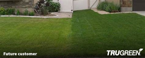 Affordable Lawn Care Maintenance And Treatment Services Trugreen