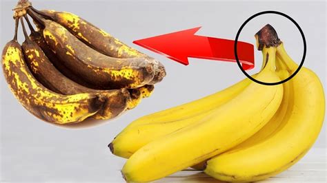 How To Keep Bananas Fresh For Longer Banana Hacks And Tricks Youtube