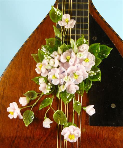 Closeup Of The Flowers On The Mandolin Artist Barbara Svetlick