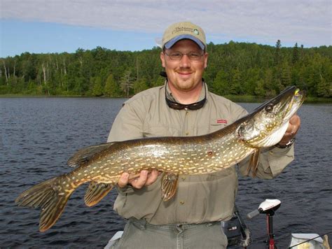 Northern Pike Fishing Flint Wilderness Resort Ontario Canada
