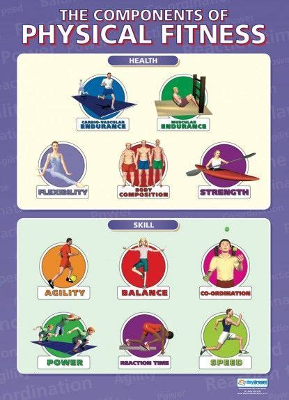 The Components Of Physical Fitness Pe Educational School Posters