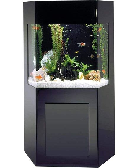 Midwest Tropical Shadow Box Aquacustom Aquarium 50 Gallon Dream