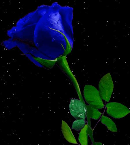 Gifs De Todo Un Poco Rosas Azules