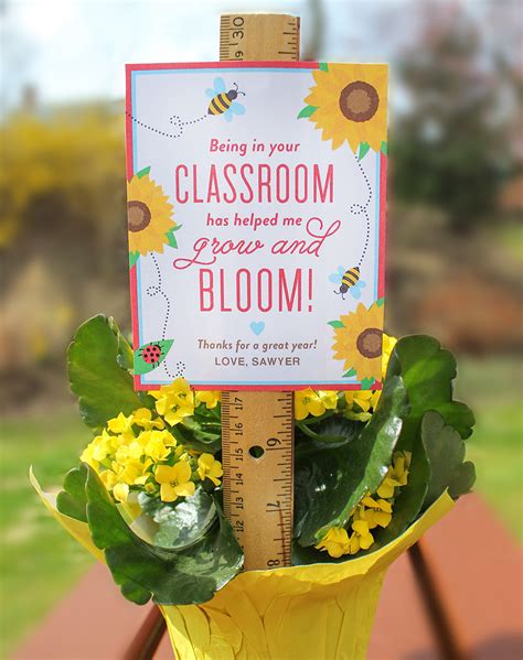 Our beautiful gifts and flowers for teachers are. "Bloom in your Classroom" Flower Teacher Gift Idea - Just ...